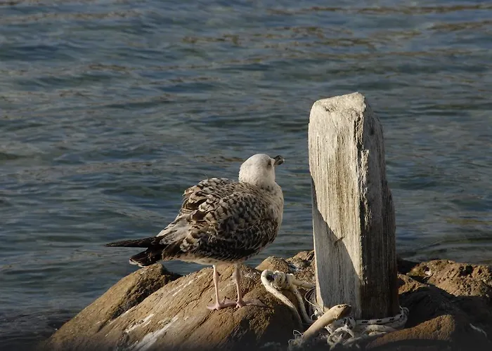 아파트호텔 Bella Vista 4*